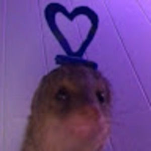 Meet your Posher, Kenz